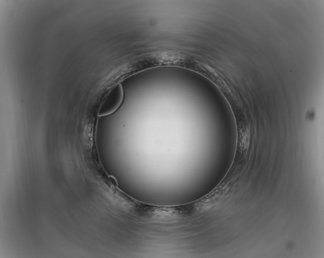 X0000096990666200802151353