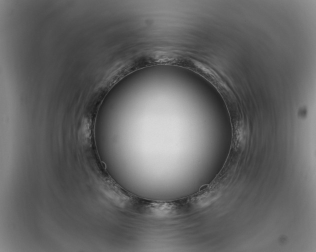 X0000096990667200802151353