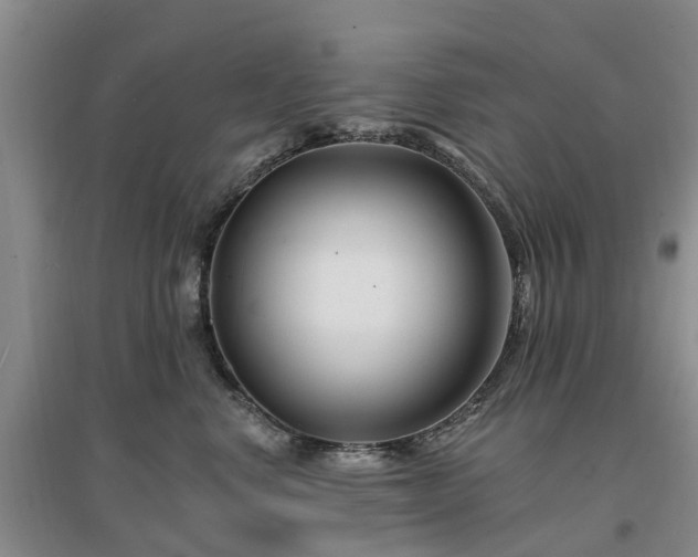 X0000096990668200802151353