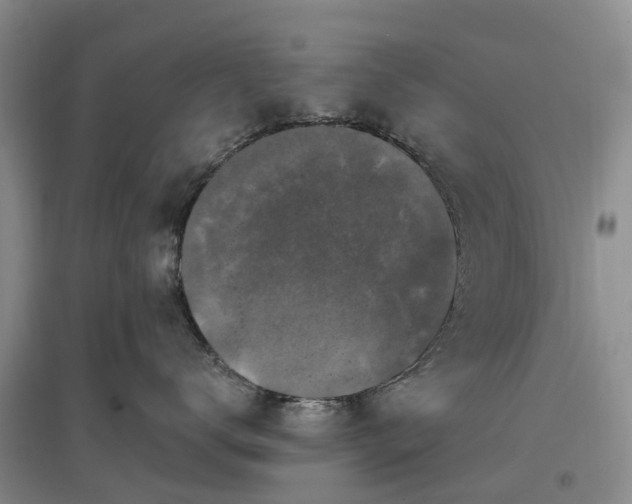 X0000096990672200802151353