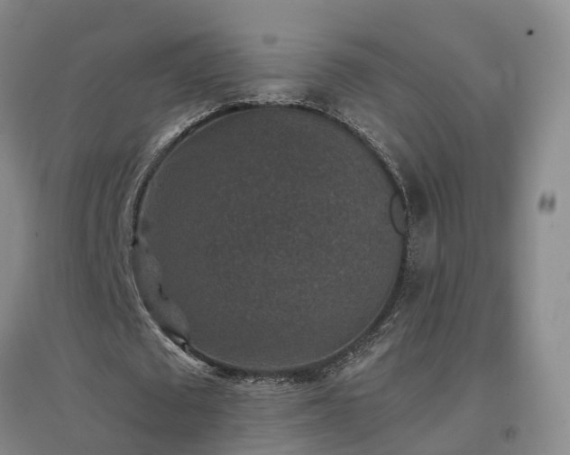 X0000096990673200802151353