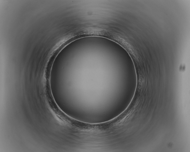 X0000096990674200802151353