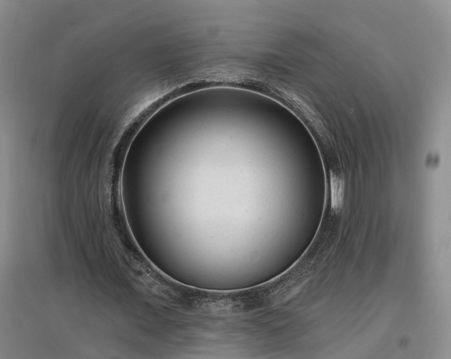 X0000096990675200802151353