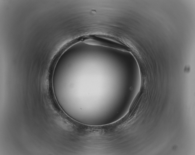 X0000096990676200802151353