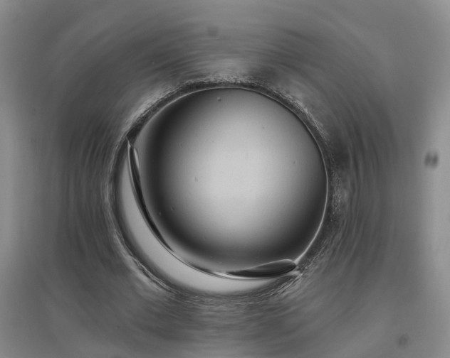 X0000096990677200802151353