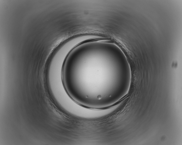 X0000096990679200802151353