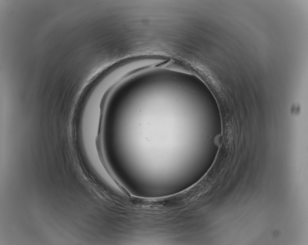 X0000096990680200802151353