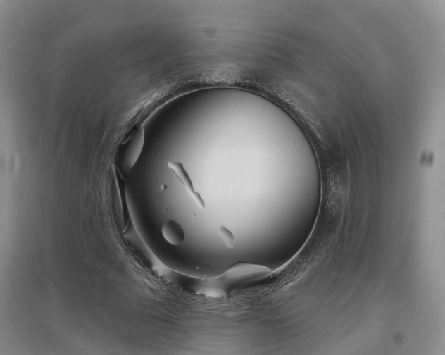 X0000096990681200802151353