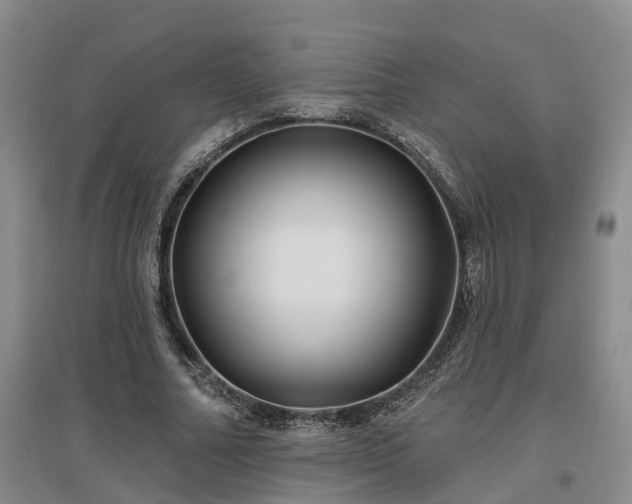 X0000096990682200802151353