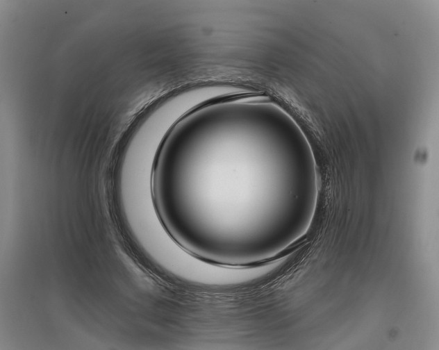 X0000096990683200802151353