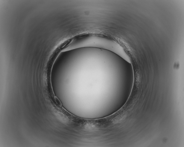 X0000096990684200802151353
