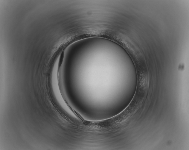 X0000096990685200802151353