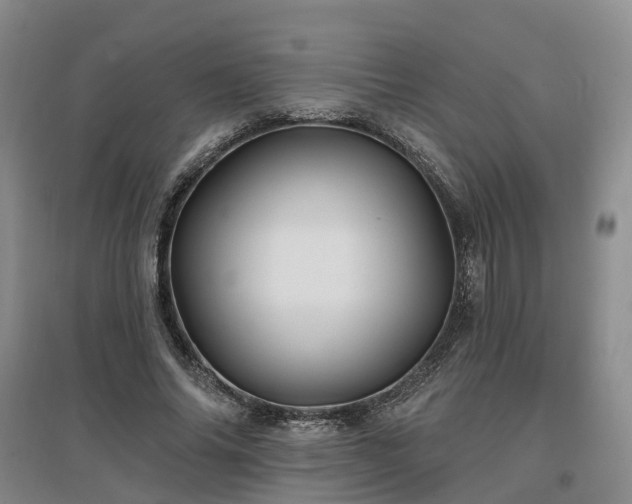 X0000096990686200802151353