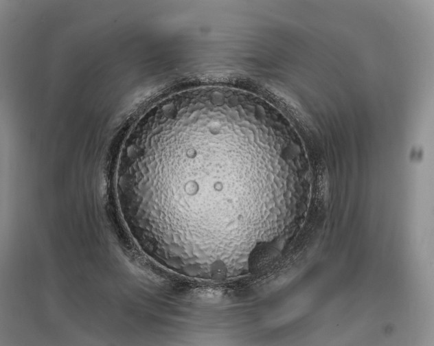 X0000096990687200802151353
