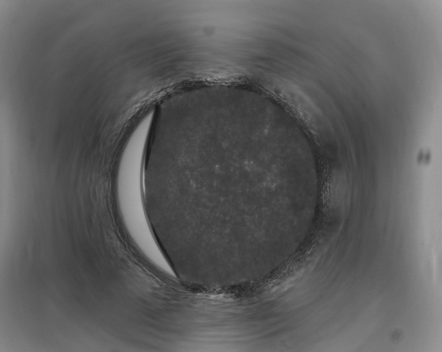 X0000096990689200802151353