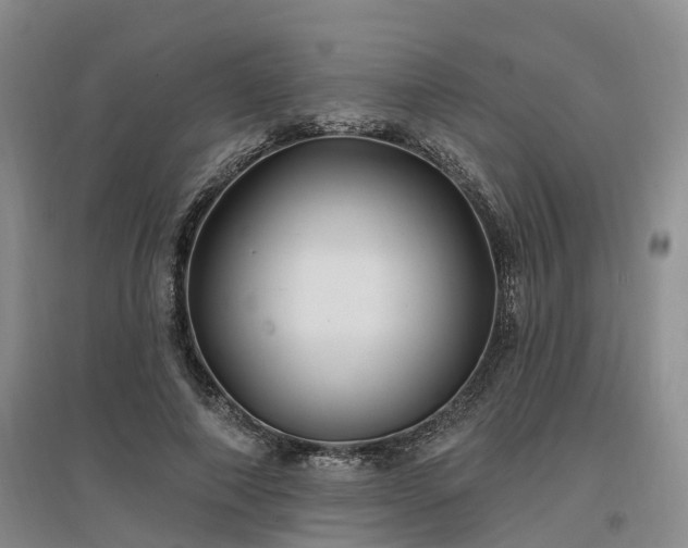X0000096990690200802151353