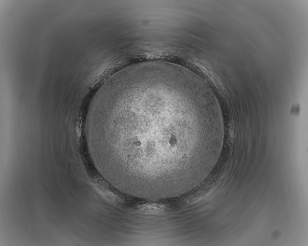 X0000096990691200802151353