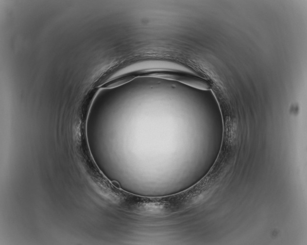 X0000096990692200802151353