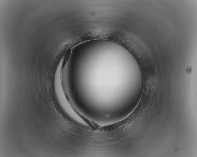 X0000096990693200802151353