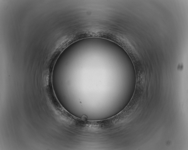 X0000096990694200802151353