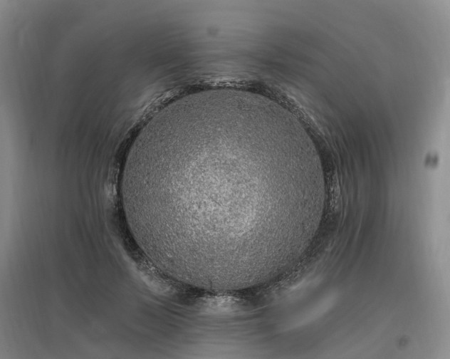 X0000096990695200802151353