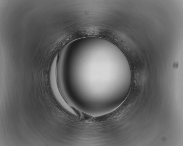 X0000096990697200802151353