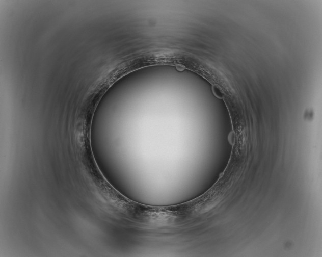 X0000096990698200802151352