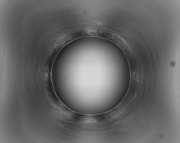 X0000096990702200802151352