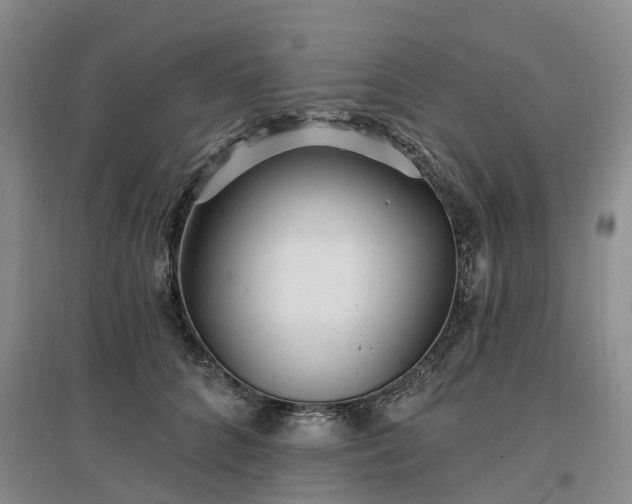 X0000096990704200802151352