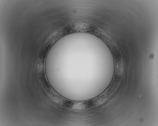 X0000096990705200802151352