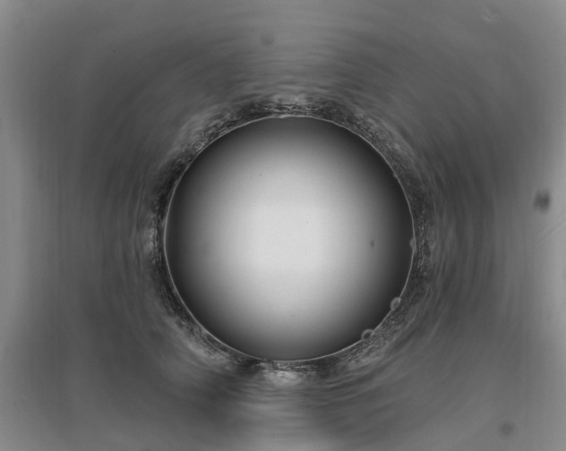 X0000096990706200802151352