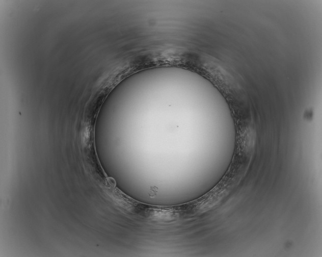 X0000096990709200802151352