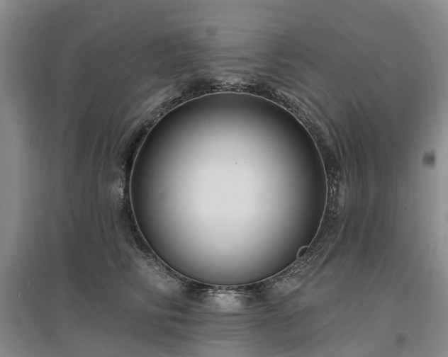 X0000096990710200802151352