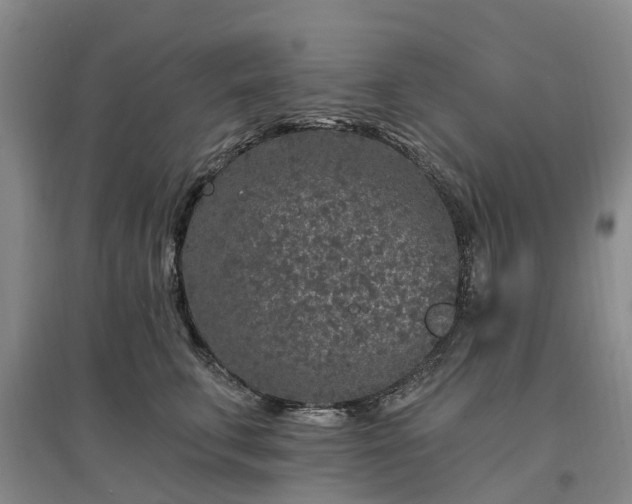 X0000096990711200802151352
