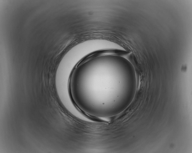 X0000096990712200802151352
