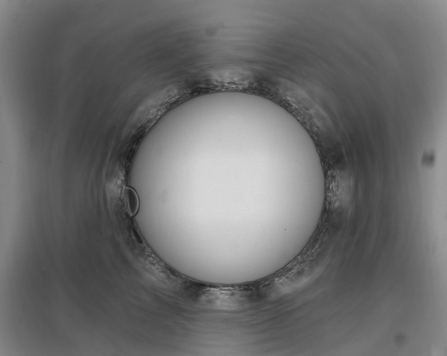 X0000096990713200802151352