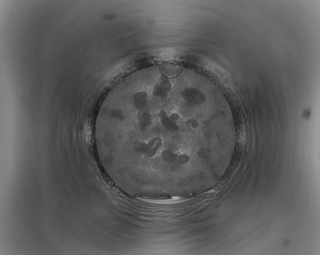 X0000096990715200802151352