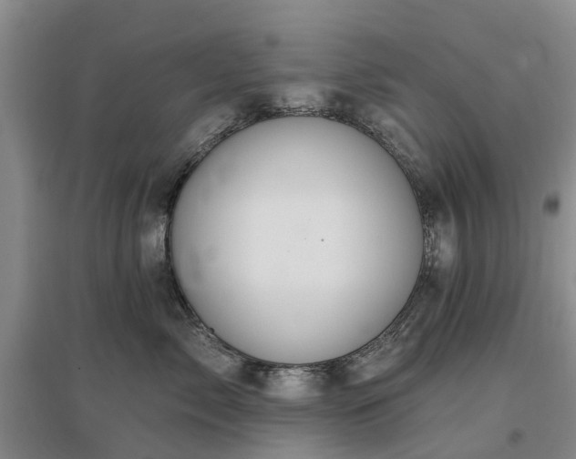 X0000096990717200802151352
