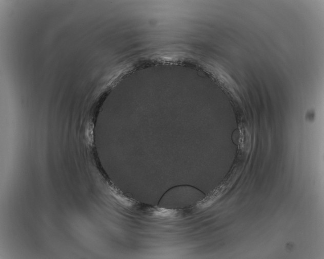 X0000096990718200802151352