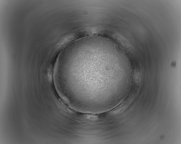 X0000096990719200802151352