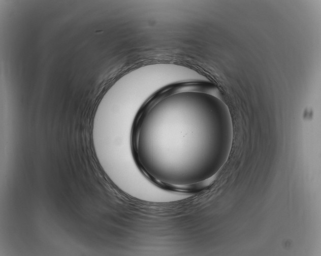 X0000096990720200802151352