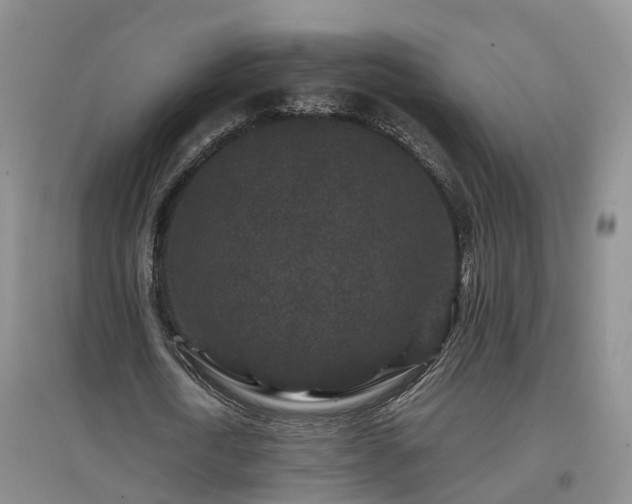 X0000096990722200802151352