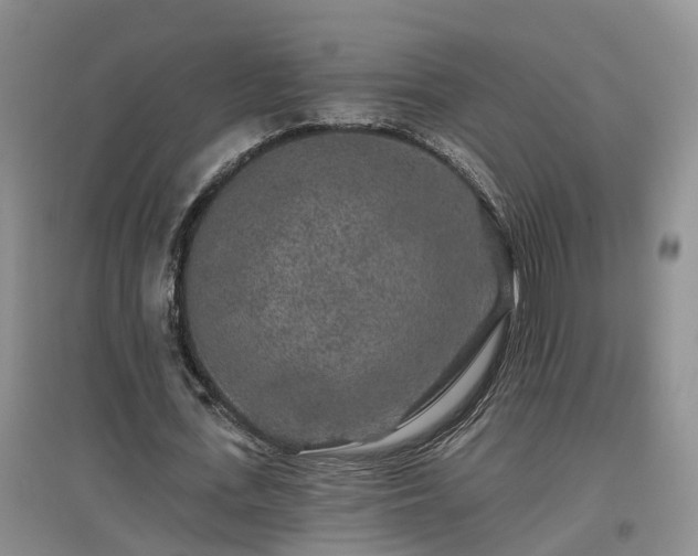 X0000096990723200802151352