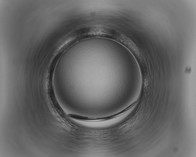 X0000096990724200802151352