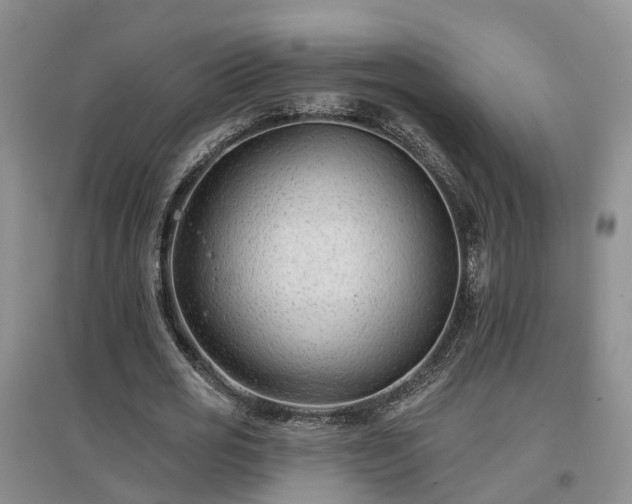 X0000096990725200802151352