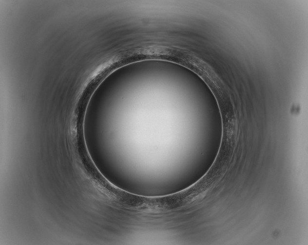 X0000096990727200802151352