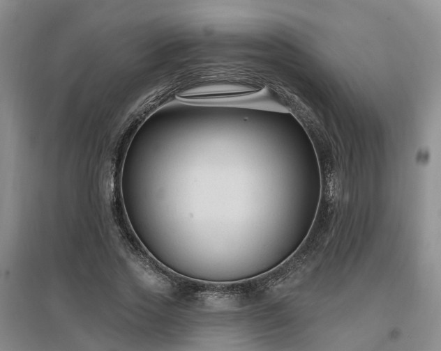 X0000096990733200802151352