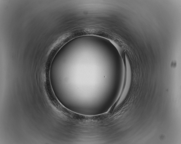 X0000096990734200802151352