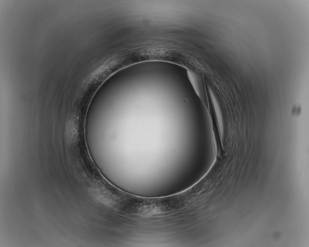 X0000096990735200802151352