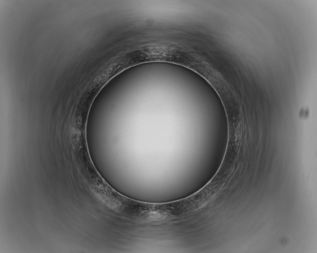 X0000096990737200802151352